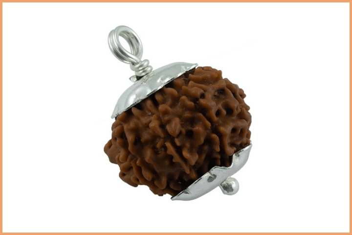 9 Mukhi Rudraksha Bead