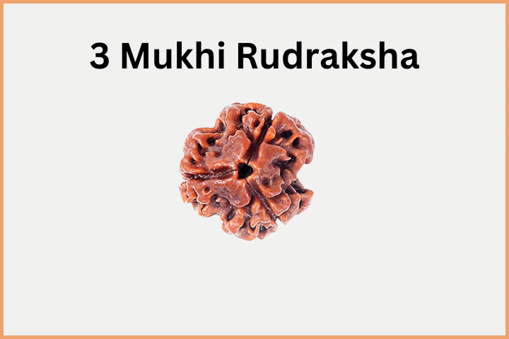 3 Mukhi bead