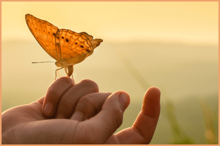 Giving and Liberation Path