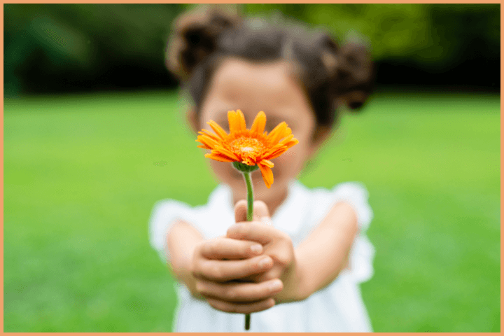 Gratitude Mindset (5)