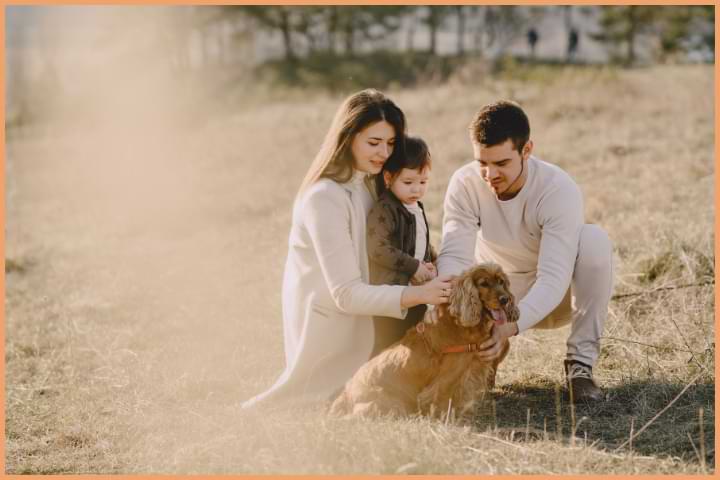 Manage Family Misunderstandings