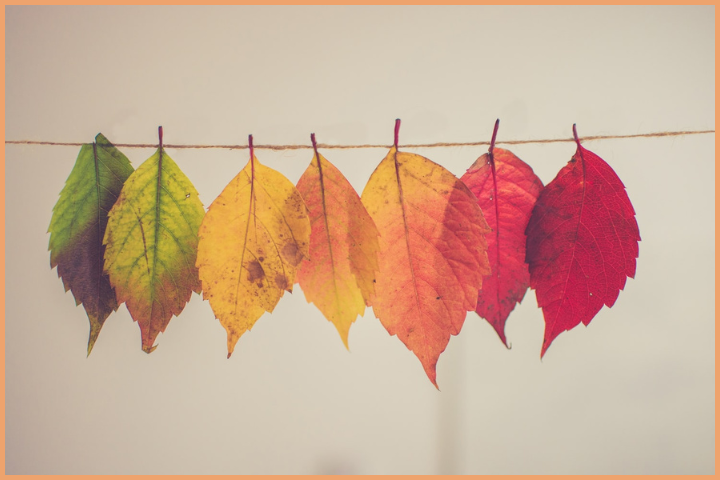 The Ever-Changing Self