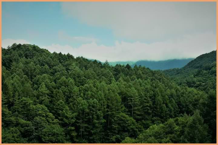 Protecting Nature and Managing Anger