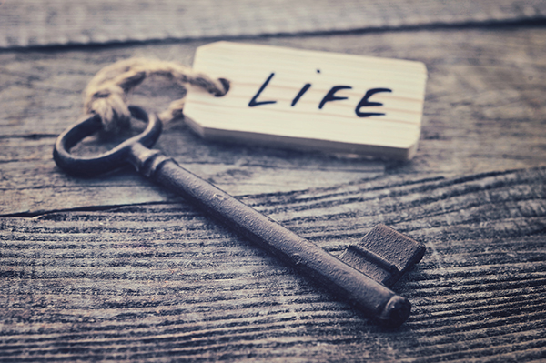 The Divine Blueprint of Life: Understanding the Orchestration of Our Existence