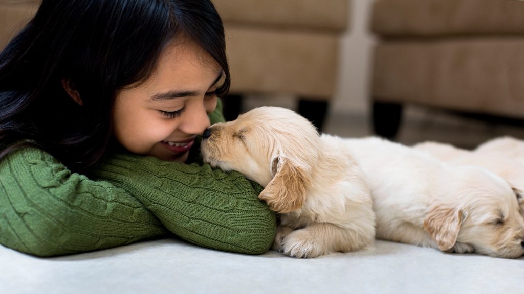 Understanding the Ethics of Petting Animals: A Selfless Approach to Compassion