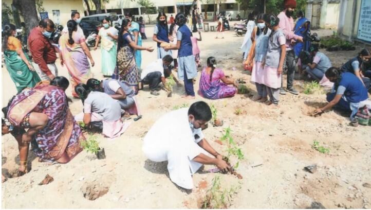 Planted saplings in Avinashi Government School