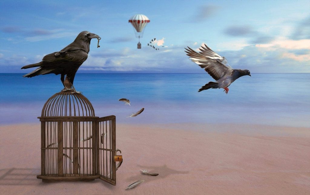 Wisdom and Liberation: Embracing the Dharma Way of Life
