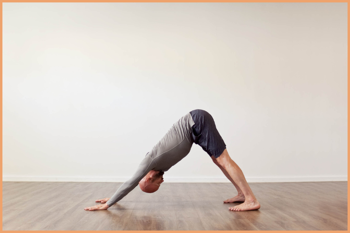Yoga Poses - Downward-Facing Dog (Adho Mukha Svanasana)