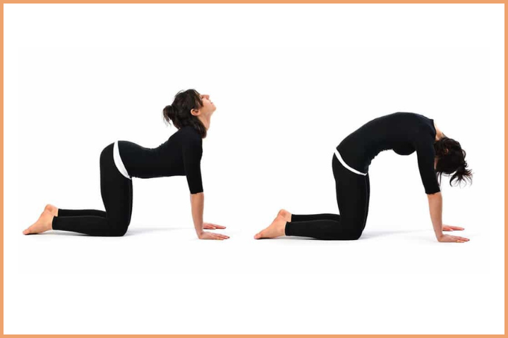 Cat-Cow Stretch (Chakravakasana)