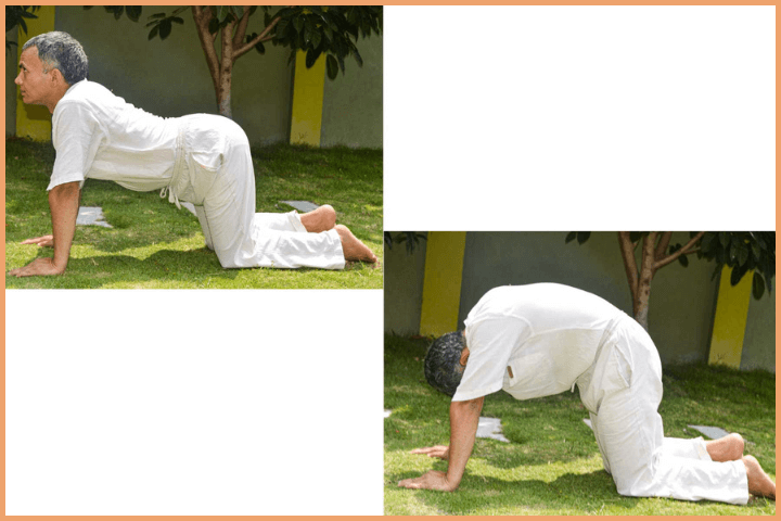 Yoga to Boost Energy - Bitilasana/Marjaryasana