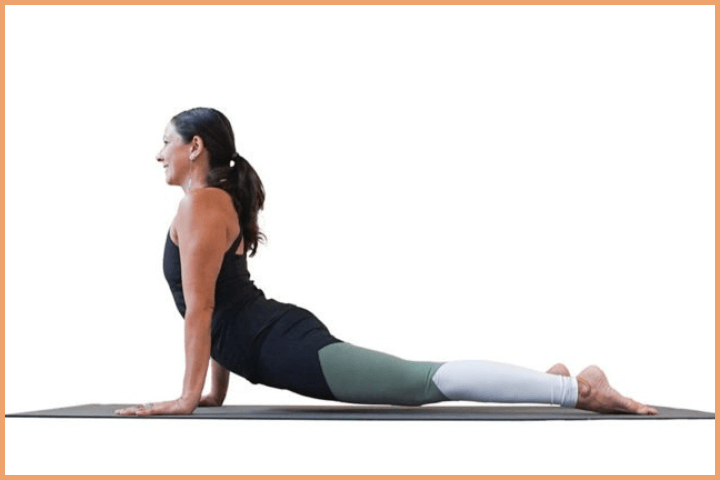 Urdhva Mukha Svanasana