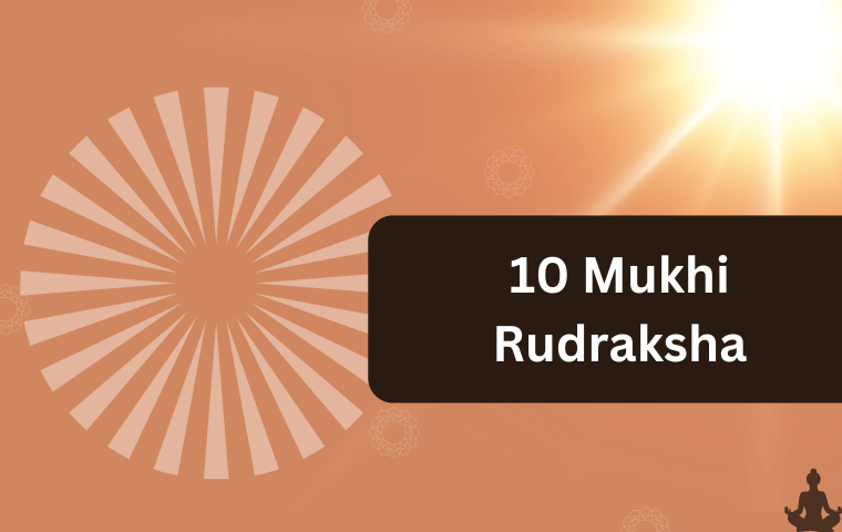 10 Mukhi Rudraksha