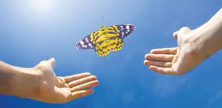 How to Get Rid of Karma and Attain Liberation