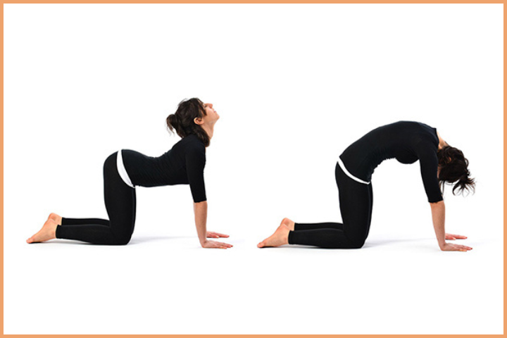 Yoga Asanas for Back Pain - Chakravakasana
