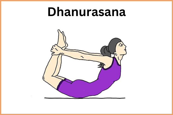 Yoga Asanas for Weight Loss - Dhanurasana