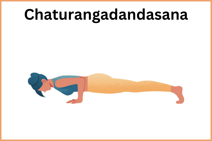 Yoga Asanas for Weight Loss - Chaturangadandasana