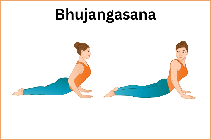 Yoga Asanas for Weight Loss - Bhujangasana
