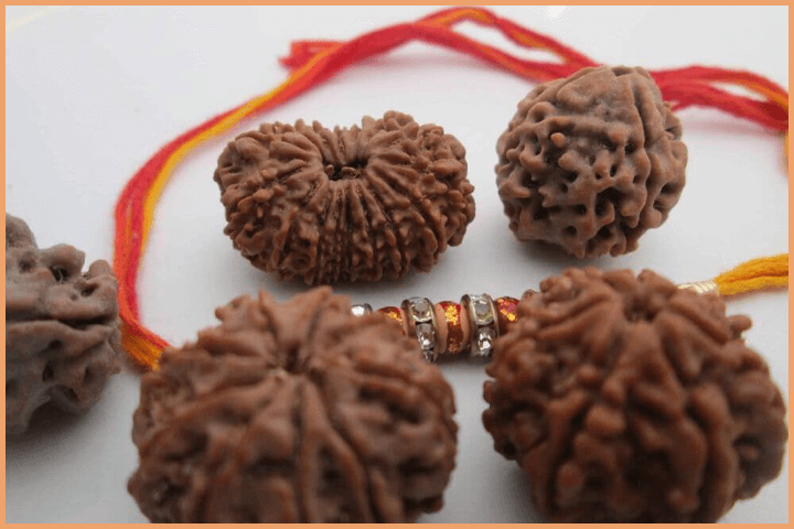 The Sacredness of Rudraksha