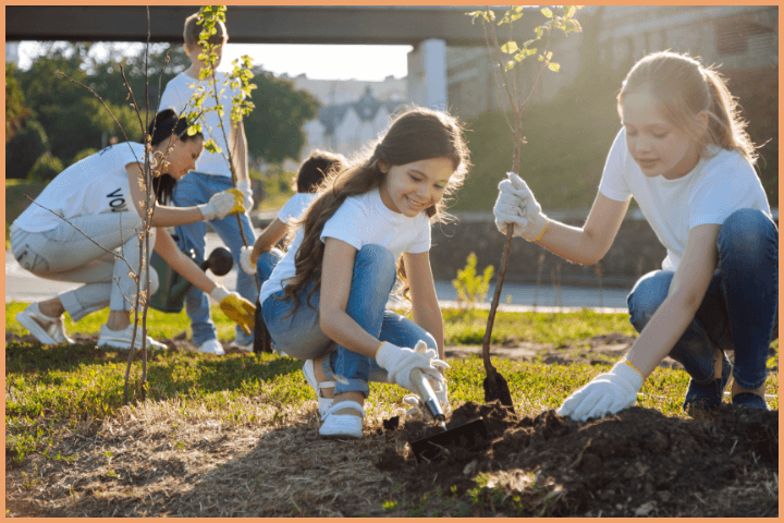 Five Elements of Nature - Earth