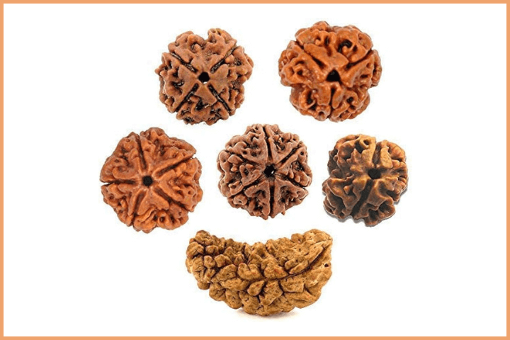 Rudraksha Beads