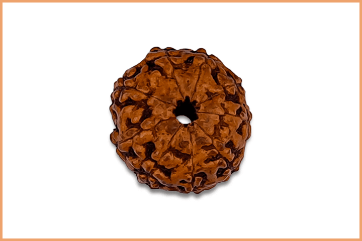 9 Mukhi Rudraksha for Rahu
