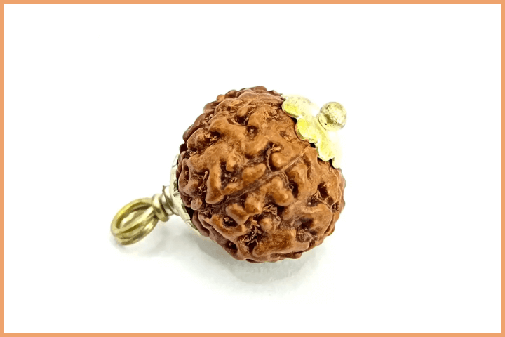 1 Mukhi Rudraksha for Rahu
