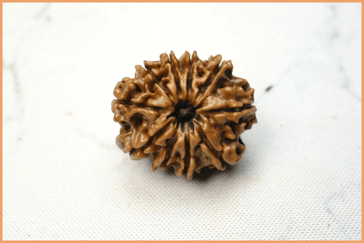 10 Mukhi