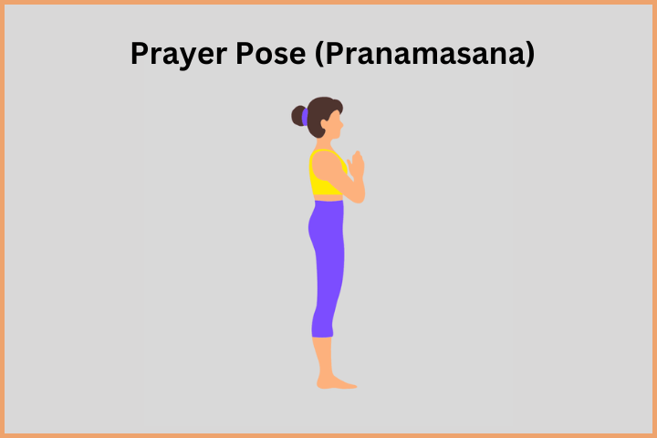 Prayer Pose (Pranamasana)