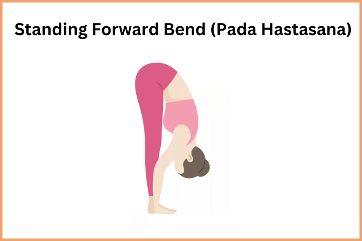 Surya Namaskar Steps - Standing Forward Bend (Pada Hastasana)