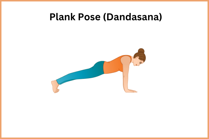 Plank Pose (Dandasana)