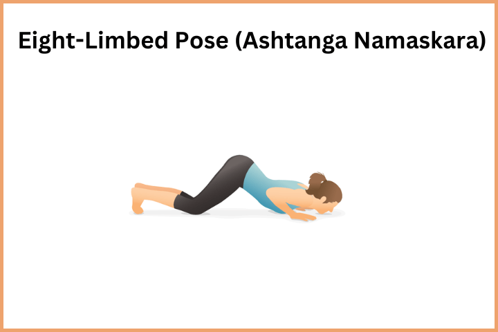 Surya Namaskar Steps - Eight-Limbed Pose (Ashtanga Namaskara)