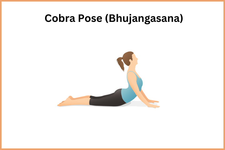 Cobra Pose (Bhujangasana)