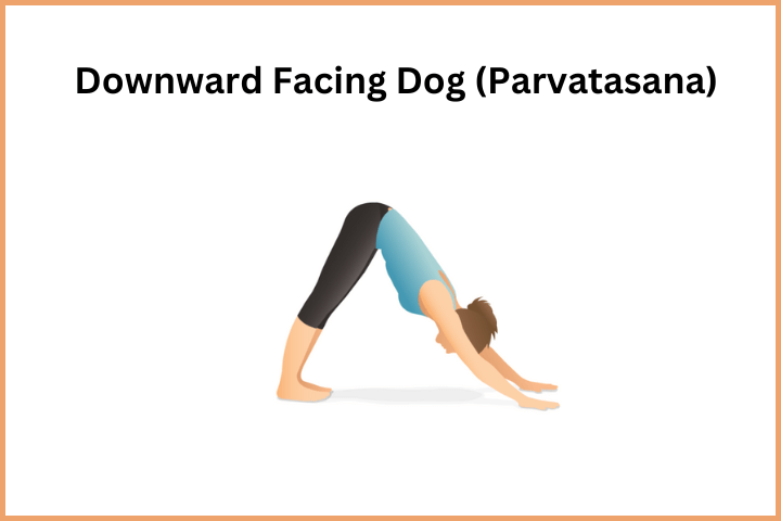 Surya Namaskar Steps - Downward Facing Dog (Parvatasana)