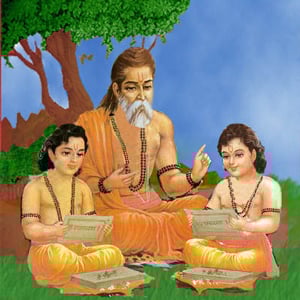 Inheritance of Experience and Wisdom