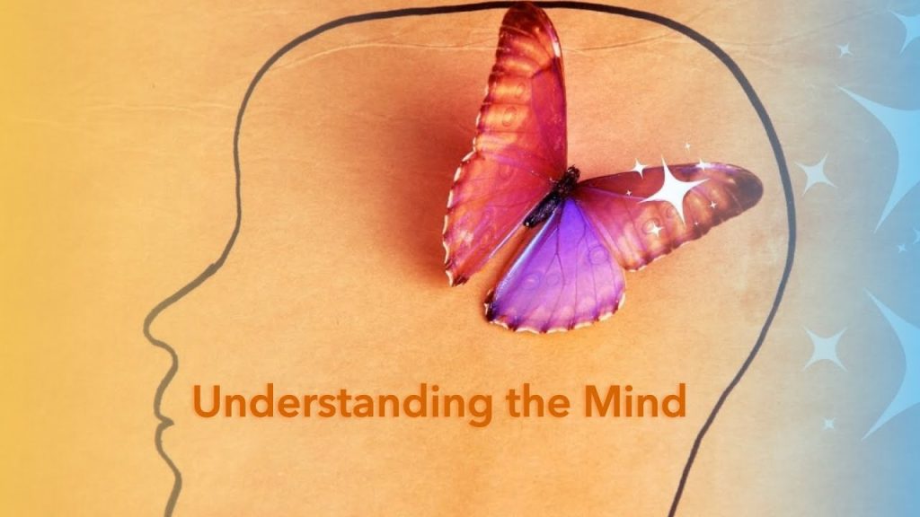 Mind Body and Soul
