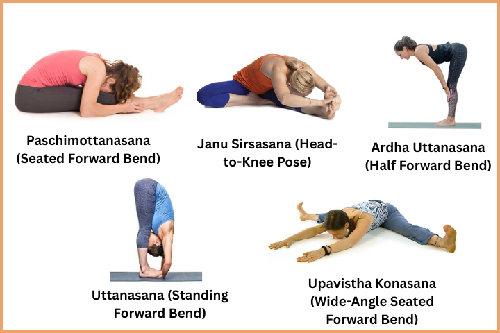 84 Yoga Asanas List (3)