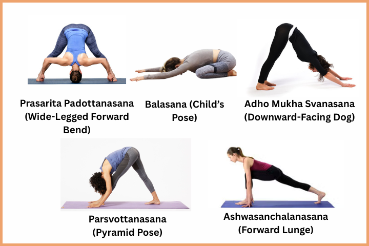 84 Yoga Asanas List (4)
