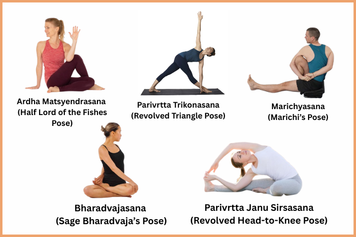 84 Yoga Asanas List (9)