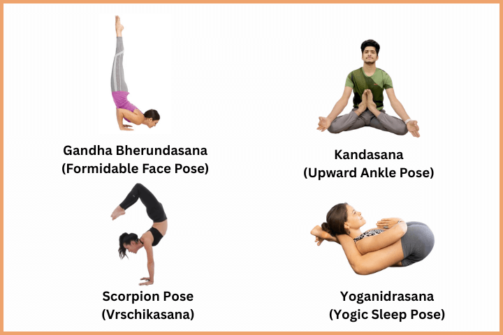Advanced & Miscellaneous Yoga Poses