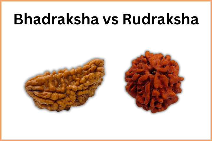Bhadraksha (3)