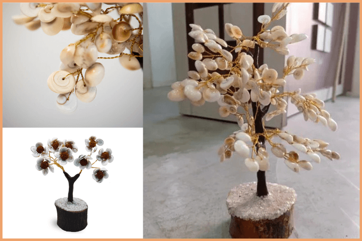 Gomati Chakra Tree