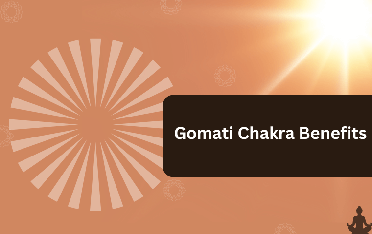 Gomati Chakra Benefits