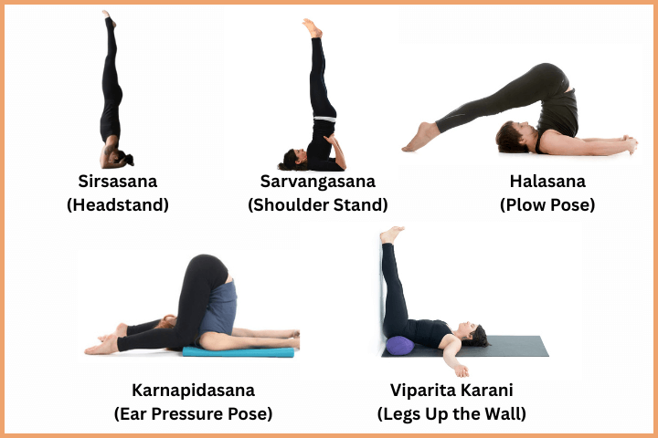 Inversion Yoga Poses