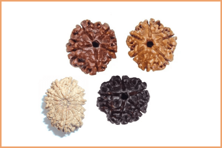 Rudraksha Colors (2)