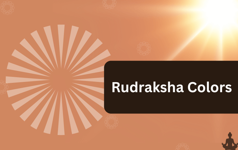 Rudraksha Colors