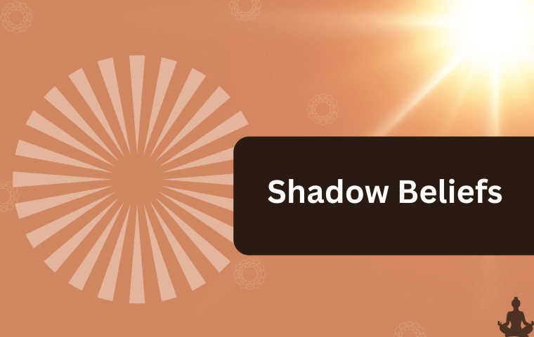 Shadow Beliefs (3)