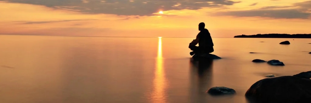Compassion and Meditation for Liberation