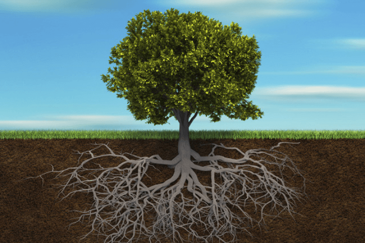 How to Turn Suffering into Growth