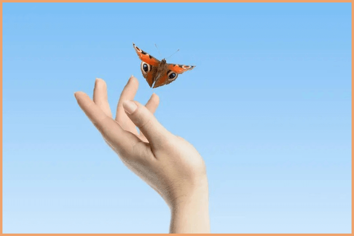 Manifestation Techniques (2)