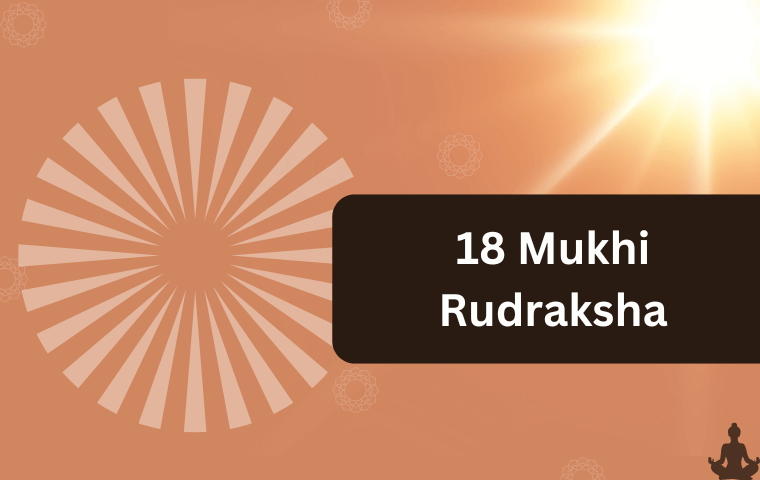 18 Mukhi Rudraksha